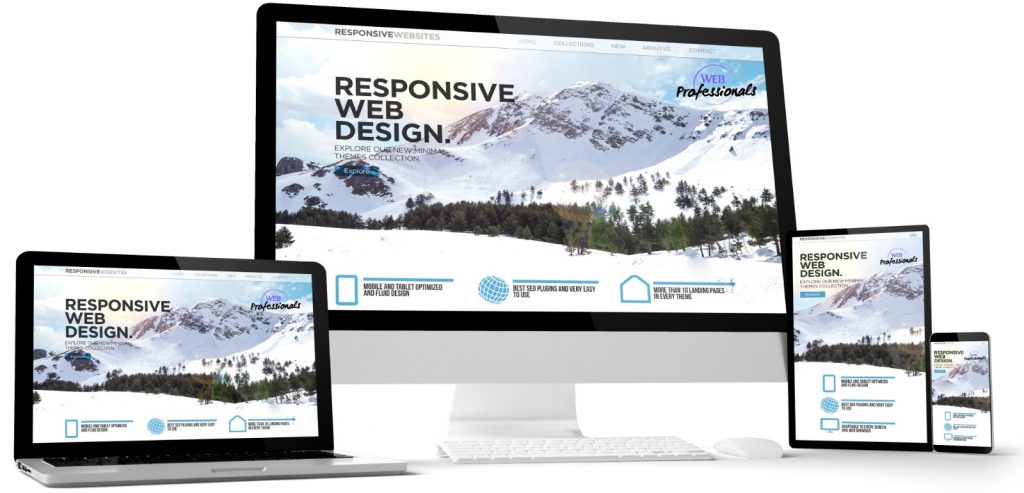Web design & development